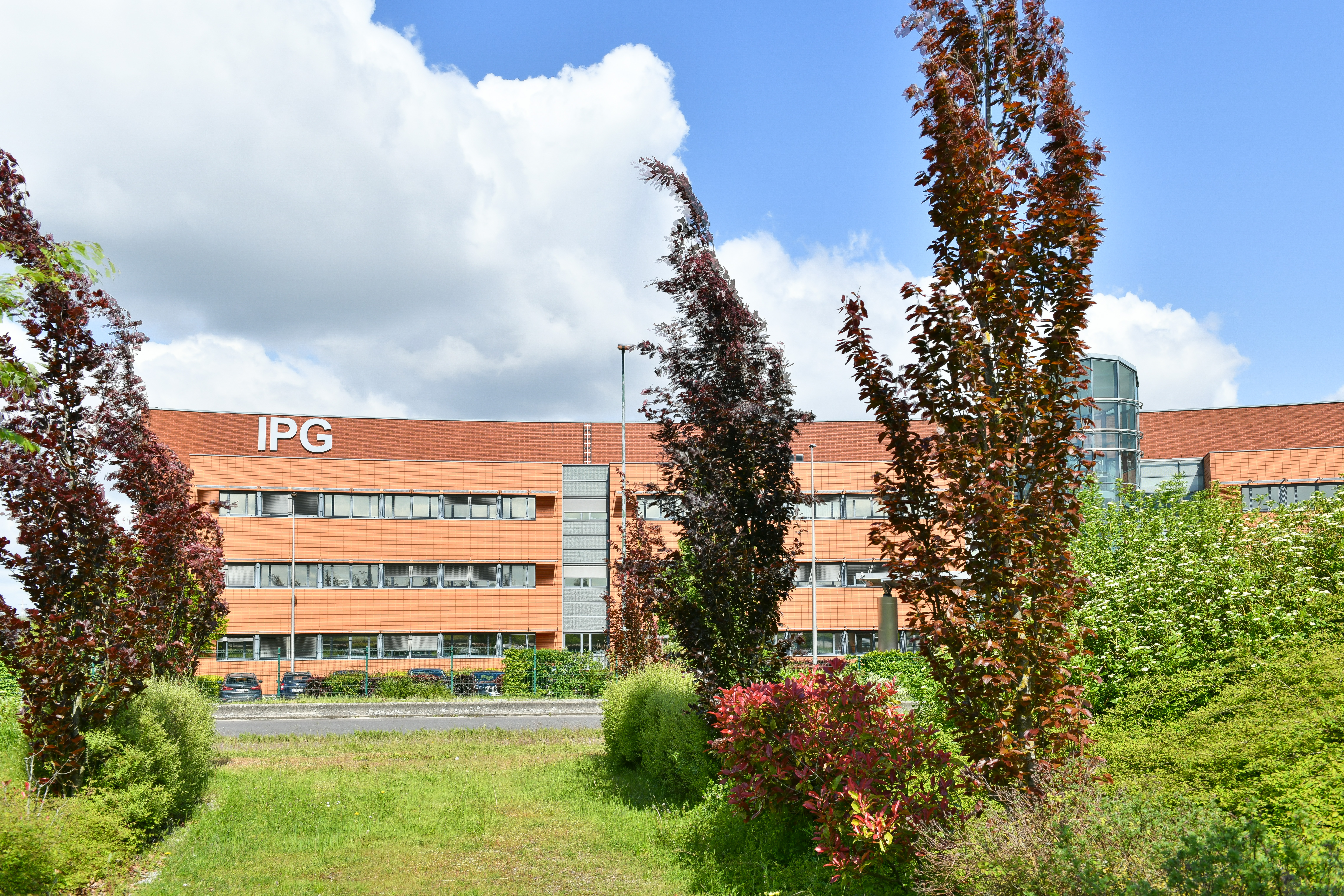 IPG-6972.jpg
